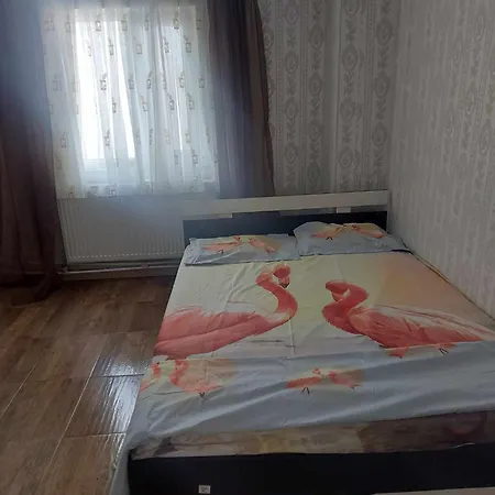 Guest house Camelia 3*