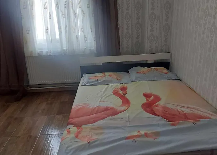 Guest house Camelia 3*