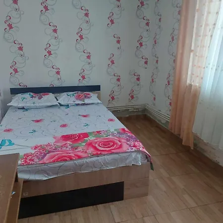 Camelia 艾福雷诺德