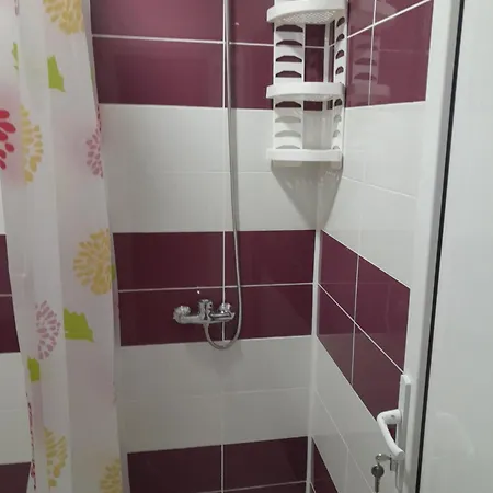 Camelia 招待所 艾福雷诺德