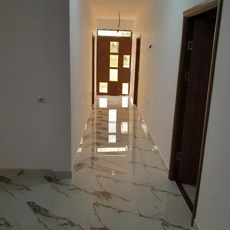 Camelia 招待所 3*