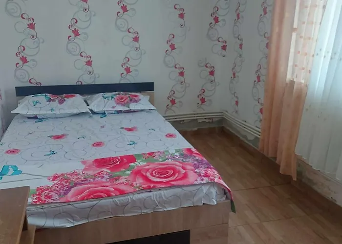 Camelia ゲストハウス 3*