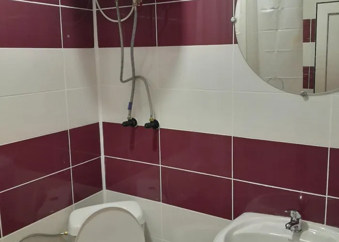 Camelia ゲストハウス エフォリエ・ノルド