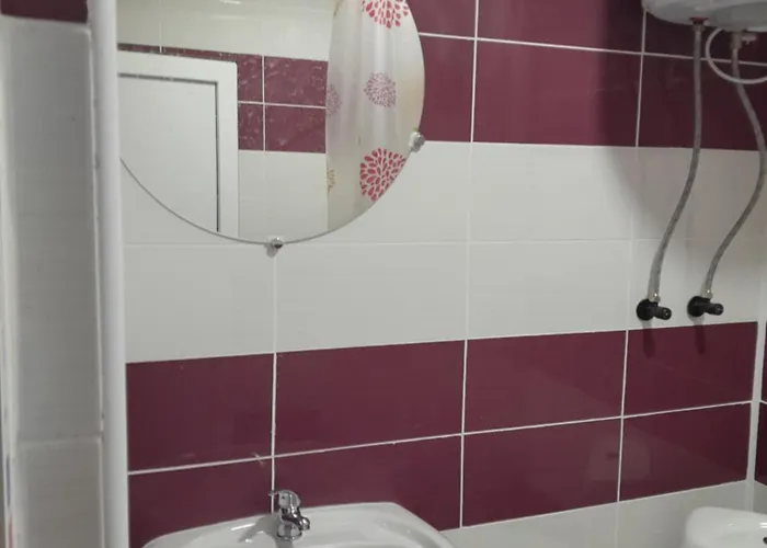 Camelia ゲストハウス