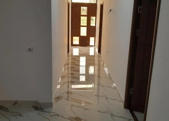 Camelia ゲストハウス 3*